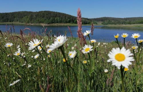 Piece of Greece - Foto 40