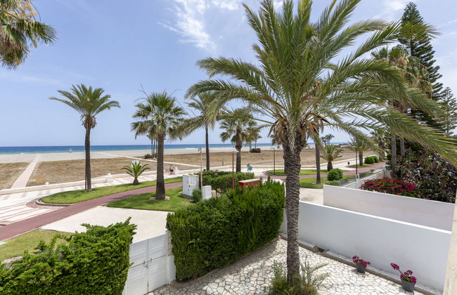 Los Frasquitos - Photo 41