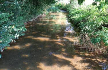 The Little Barn - Foto 17