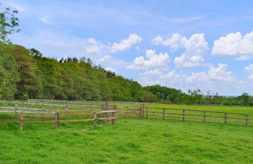 Blackberry Lodge - Foto 2