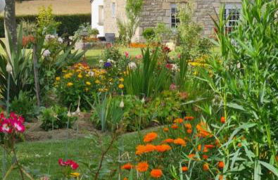 gîte en campagne Lamégritnière - Foto 50