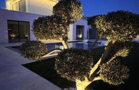 Villa O' Bè - moderne et d'exception - Foto 33