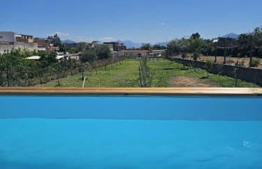 Villa Cola - Vesuvio Garden & Relax - Foto 75