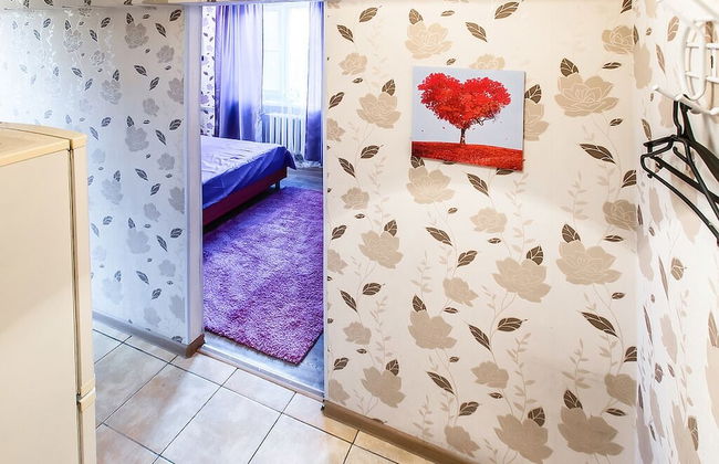 Apartment on Nizhegorodskaya 71 - Foto 4