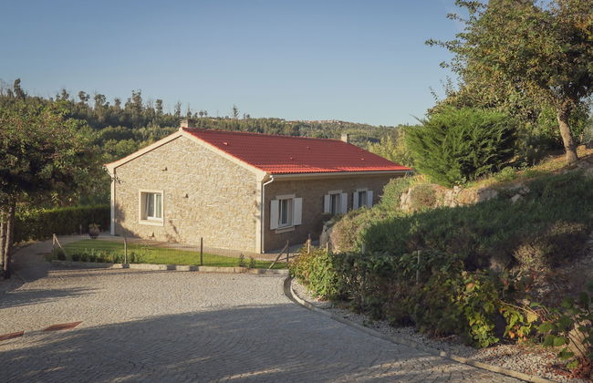 I Love Dão - Casas Da Fraga - Photo 32