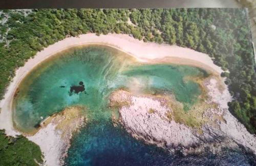 LILY's Peaceful Oasis- BRAND NEW - Foto 31