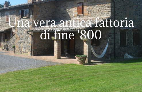 Il Palluccaro - Foto 24