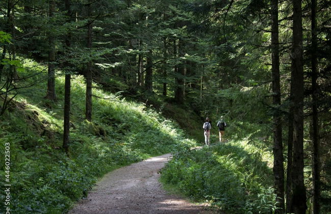 Cosy Flat in Meribel Close to the ski Lifts - Foto 24