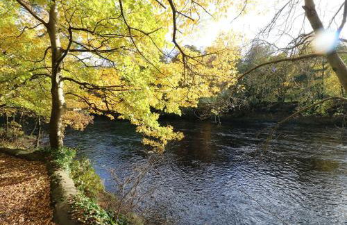 Loft Cottage - Foto 22