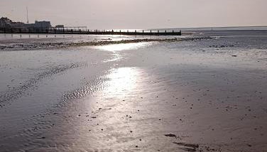 Guest suite 50m from the beach - Foto 3