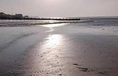 Guest suite 50m from the beach - Photo 3