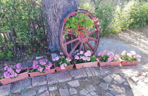 L'Aia degli olivi - Foto 4