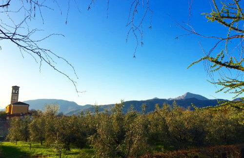 All'Antica Scuderia Del Castello - Foto 53