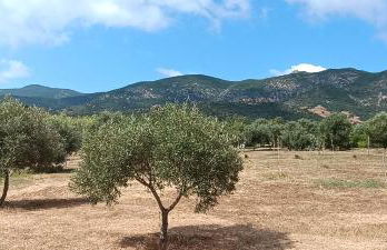 Sa Teria Village - Appartamenti - - Foto 38