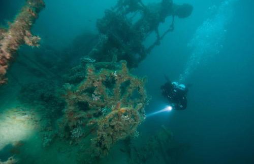 Apartman Gabrijela - Foto 23