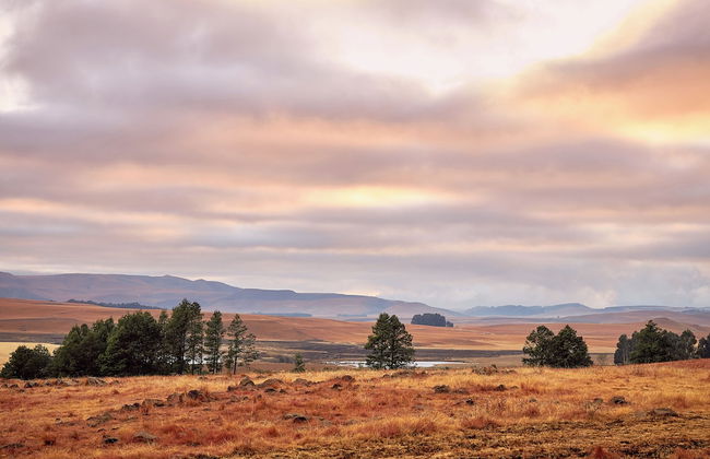 Bergview Farm Cottages by First Private Stays - Photo 34