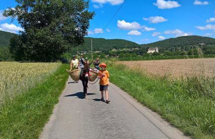 Gîte de Bontemps - Photo 22