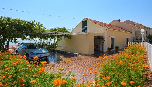 Apartman Ani - Foto 5, Garden