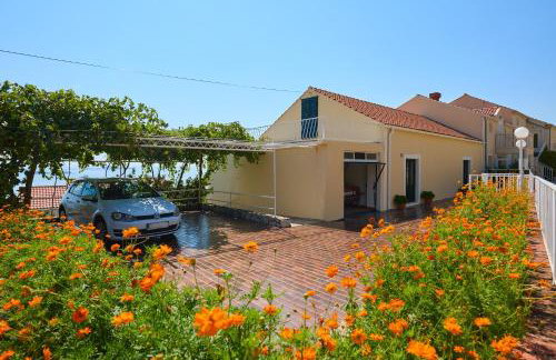 Apartman Ani - Foto 5