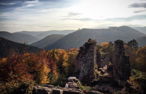 Meublés de Tourisme Heidelbeere - Foto 18