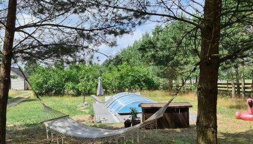 Kruszkanawierzbie - Foto 5, Garden