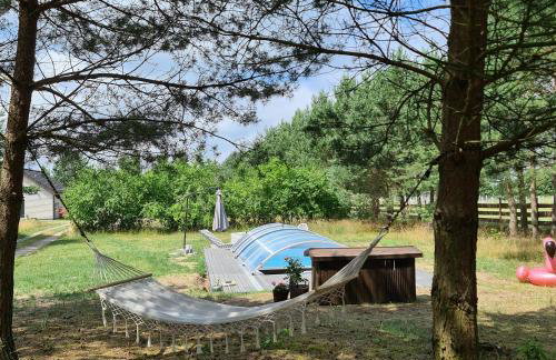 Kruszkanawierzbie - Foto 5