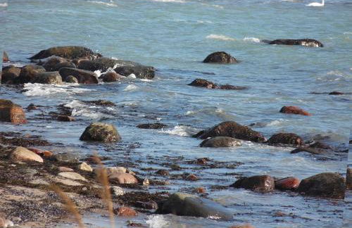 Apartment Leuchtturm 16 - Foto 44