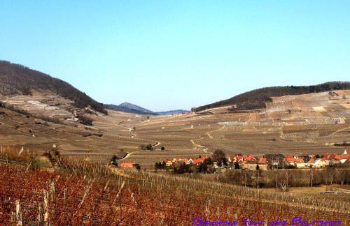 Plein Sud vue sur les Vosges et le vignoble - Foto 33