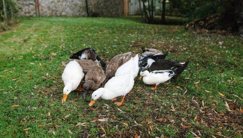 The Granary Smeeth - Foto 3