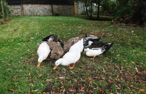 The Granary Smeeth - Foto 3