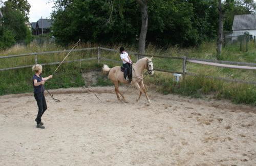 Pferd - Spaß - Entspannung - Foto 10