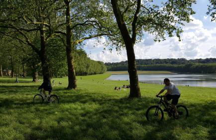 Les Carrés - Foto 46