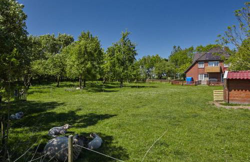 FEWO auf dem Lande / nahe SPO - Foto 137