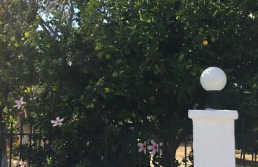 Livanina apartments - Foto 41