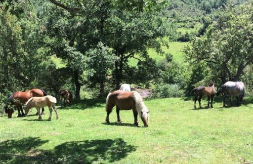 Casa el EDEN de Cameros - Foto 44