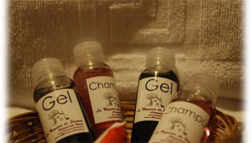 La Noguera de Socasa - Foto 2