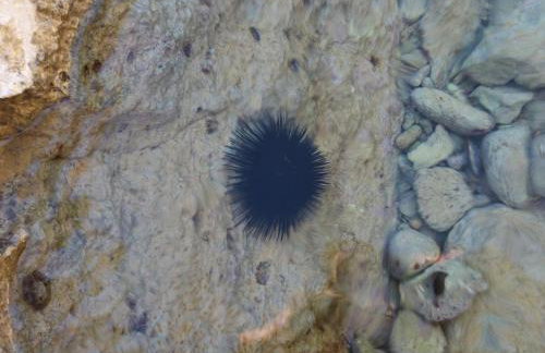 Apartment Pulić - Foto 48