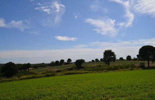 Agriturismo Dondino - Foto 40