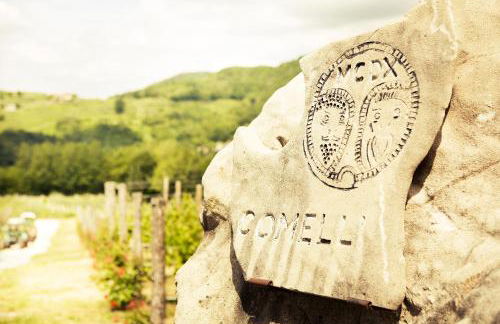 Agriturismo l'Uva e le Stelle - Foto 70