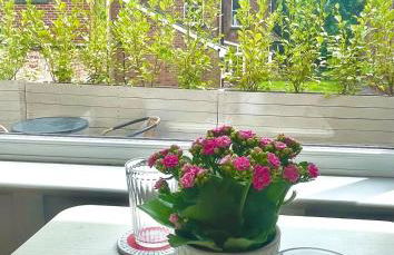 The Cabin at Number 12 - Foto 11