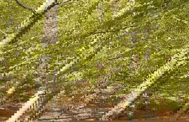 Time out Modern Retreat - Photo 26