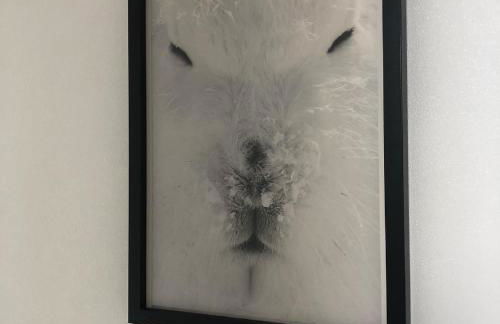 COSY APPART - Photo 15