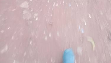 Jardim eden - Foto 5