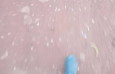 Jardim eden - Foto 5