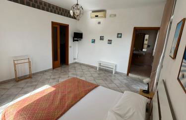 Vesuvius garden - Photo 17