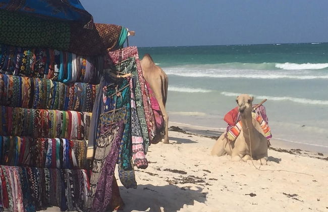 Aqua Resort - Foto 75