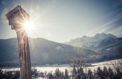 Residence Iris - Photo 5