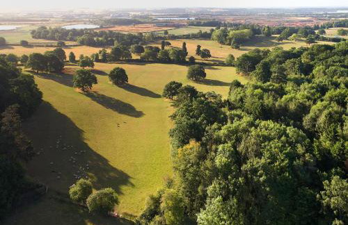 Woodland Retreat - Foto 21