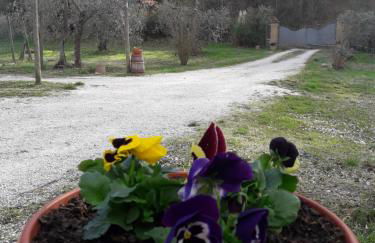 La casa di Eva - Foto 40