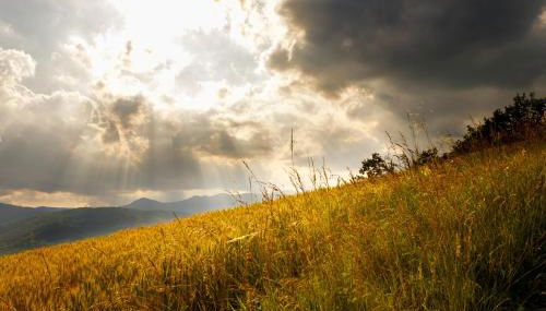 Agriturismo Carovane - Foto 5